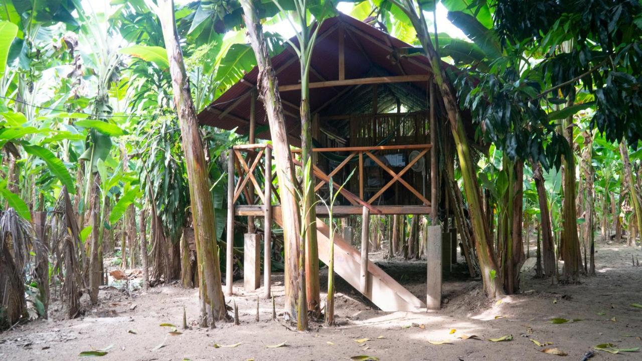 הוסטל Guachaca La Playita מראה חיצוני תמונה
